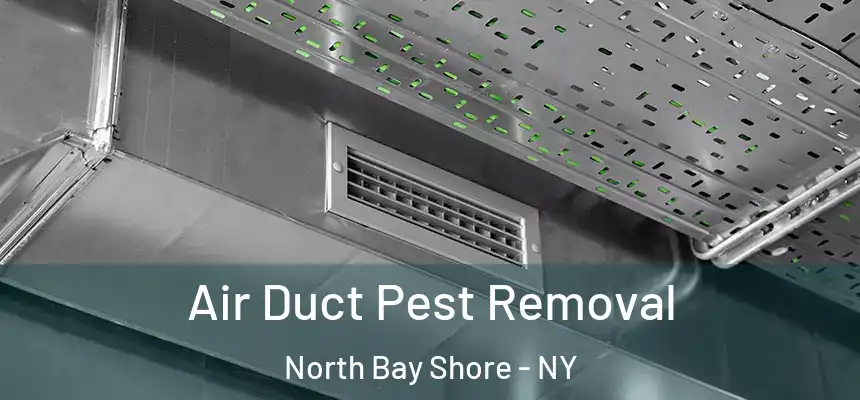  Air Duct Pest Removal North Bay Shore - NY