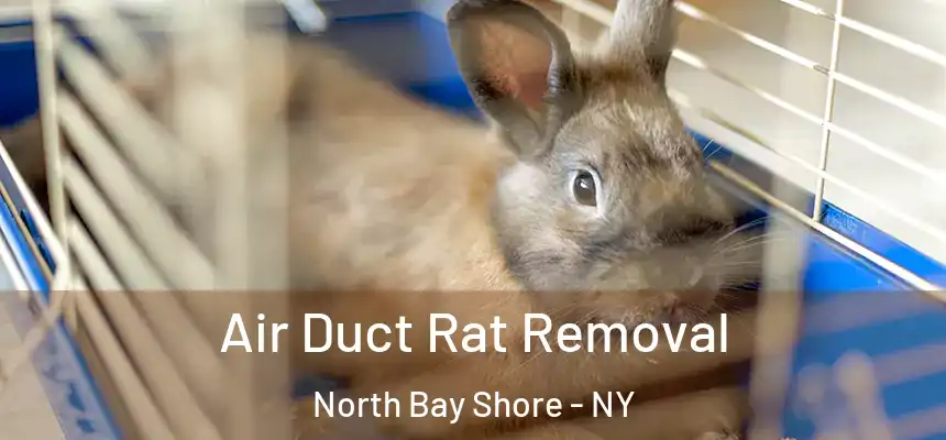 Air Duct Rat Removal North Bay Shore - NY