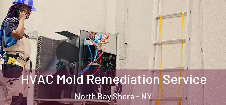 HVAC Mold Remediation Service North Bay Shore - NY