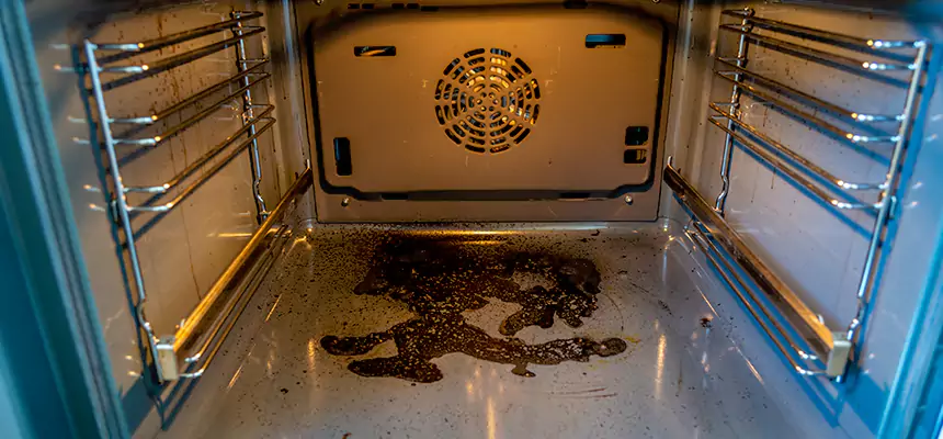 Our Dryer Vent Mold Cleaning Services in North Bay Shore, NY