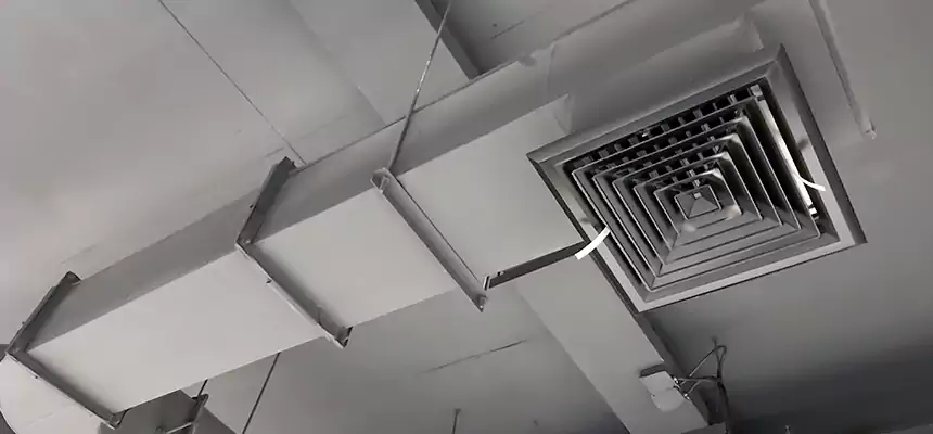 Our Pest Removal From Ducts Services in North Bay Shore, NY