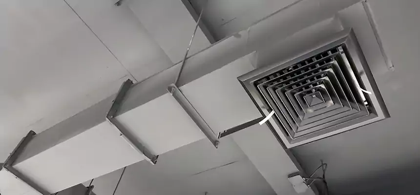 Our Rodent Droppings In Vents Services in North Bay Shore, NY