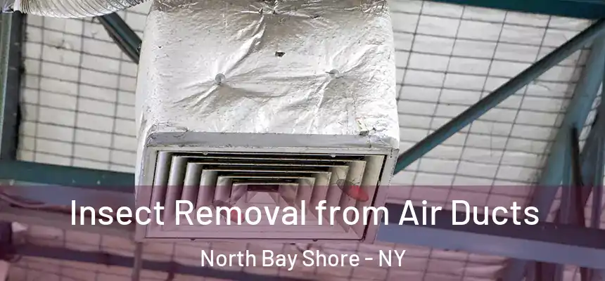  Insect Removal from Air Ducts North Bay Shore - NY