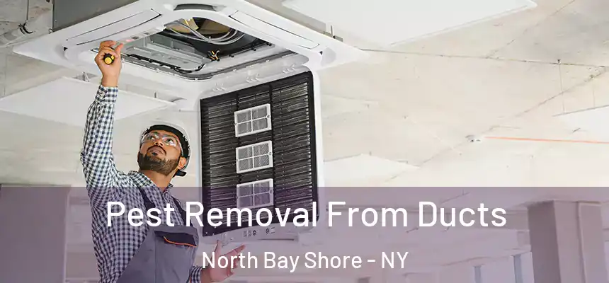  Pest Removal From Ducts North Bay Shore - NY