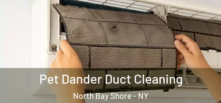  Pet Dander Duct Cleaning North Bay Shore - NY