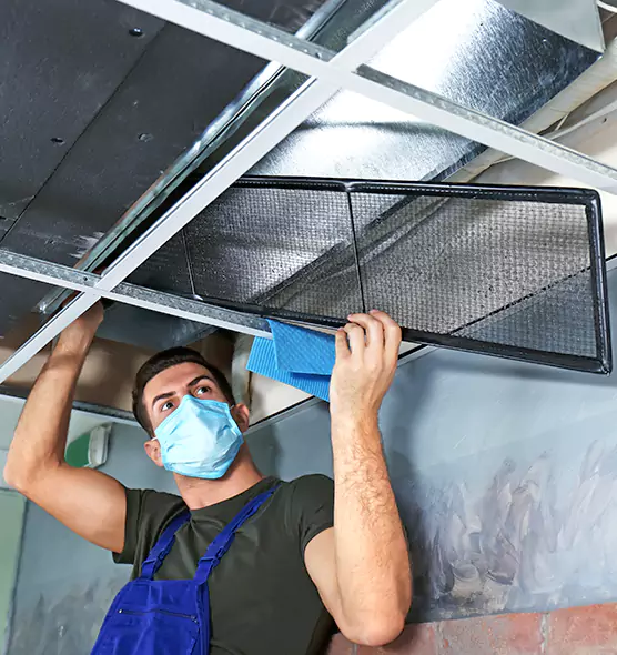 About Air Duct Bacteria Removal in North Bay Shore