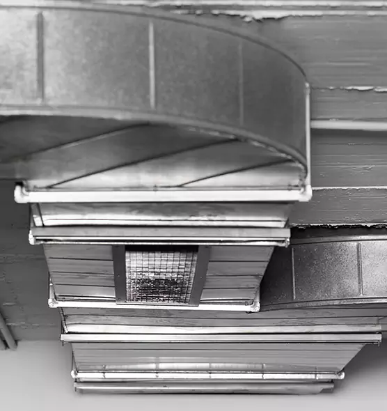 Professional Air Duct Pest Removal in North Bay Shore, NY