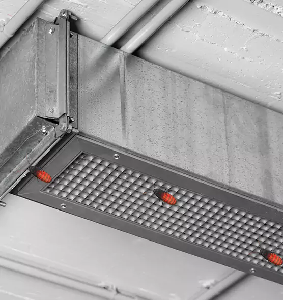 Affordable Insect Removal from Air Ducts in North Bay Shore, NY