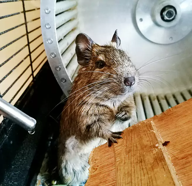 Why Homeowners & Businesses Trust Us North Bay Shore, NY